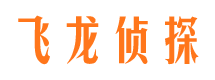 鄄城市调查公司